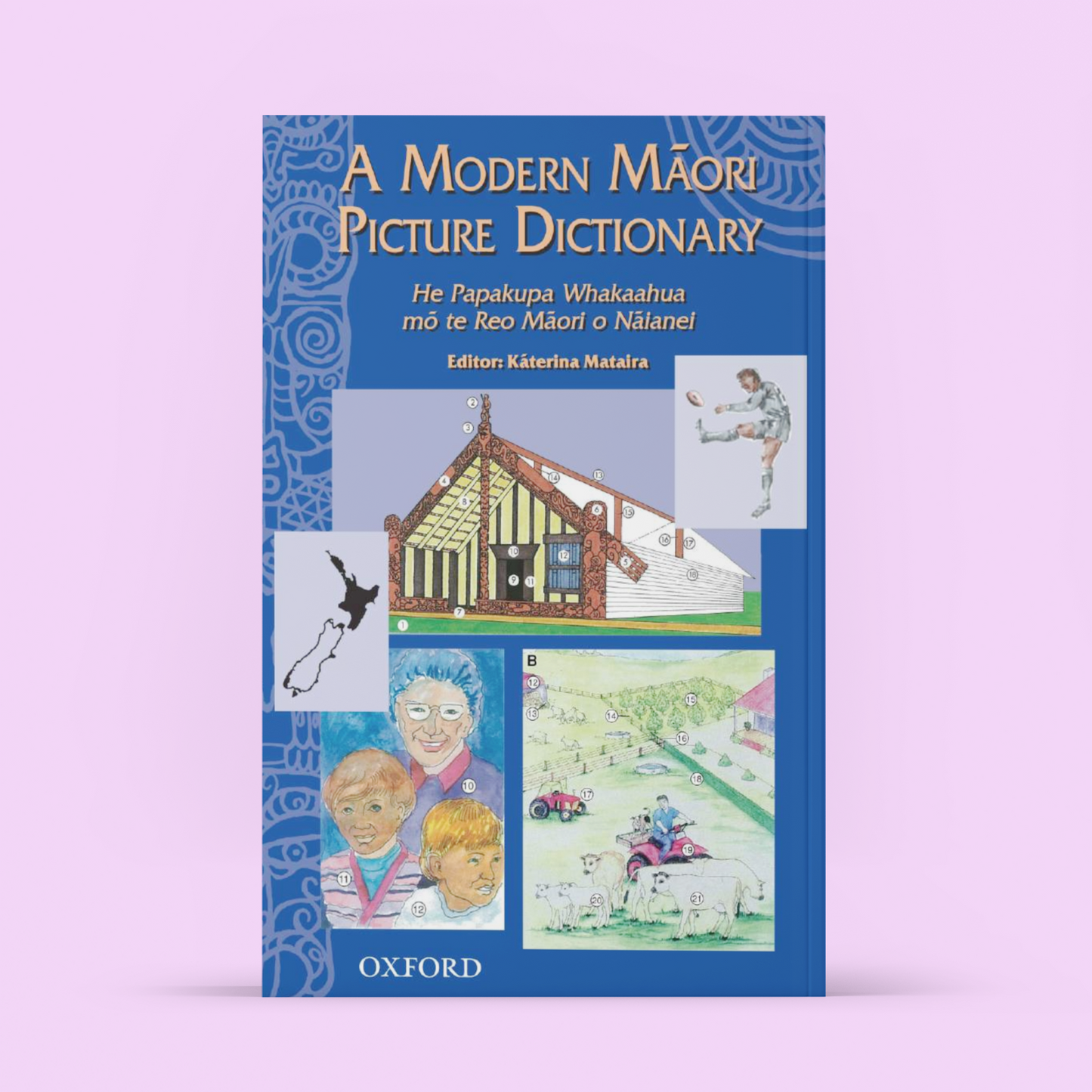 Picture Dictionary